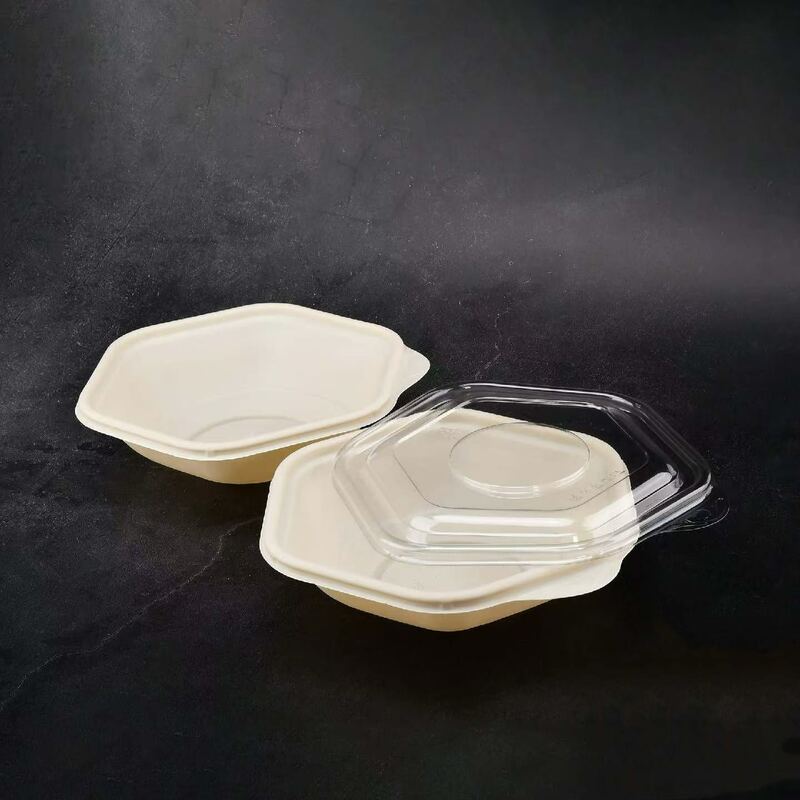 New Hexagonal Salad Takeout Box Launch | Trendy "Insta-style" Light Meal Container
