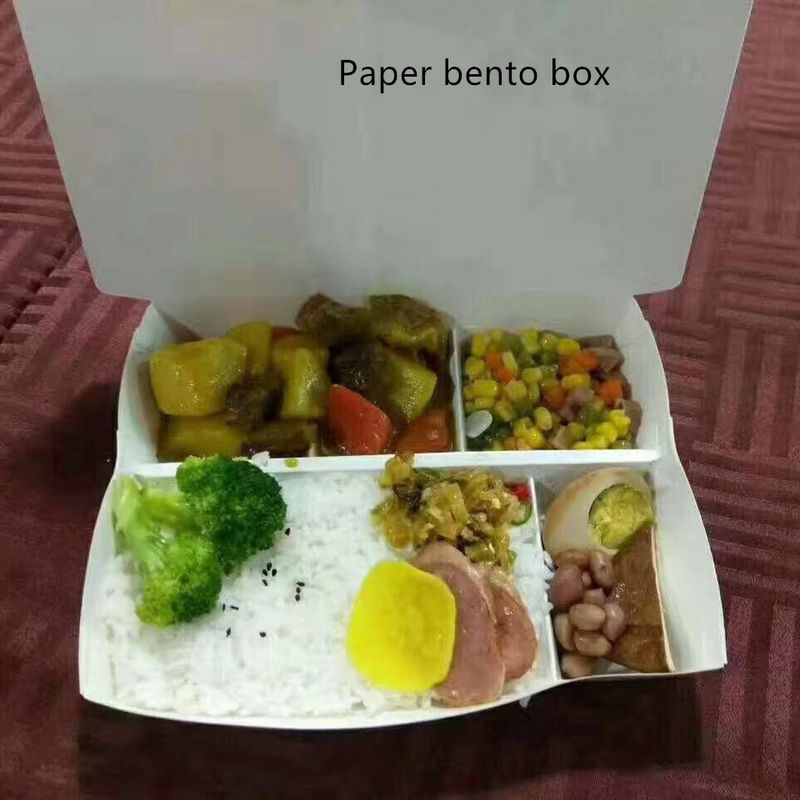 Le papier d'emballage rectangulaire emportent jetable compostable de boîte avec le couvercle d'ANIMAL FAMILIER