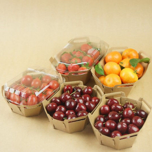 Couvercle recyclable d'ANIMAL FAMILIER de Tray With de fruit de papier de 350gsm emballage