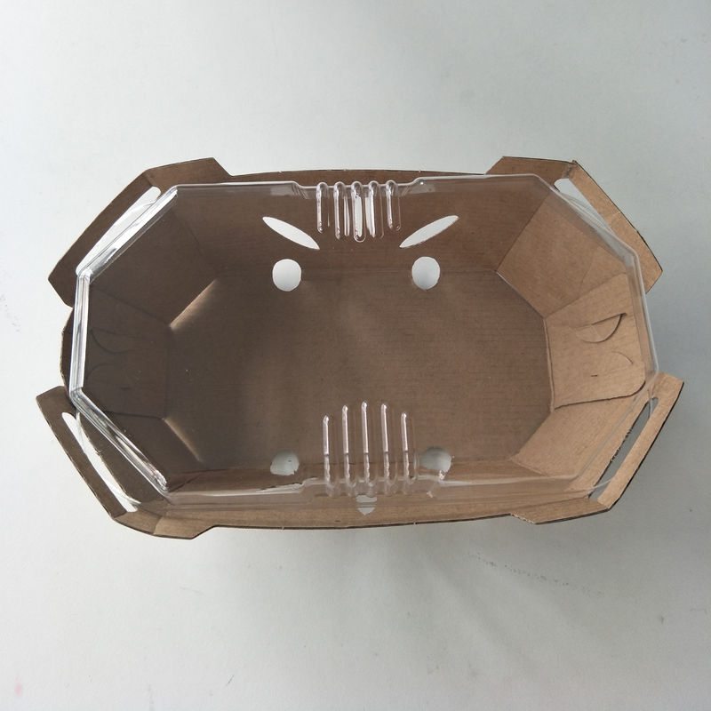 Couvercle recyclable d'ANIMAL FAMILIER de Tray With de fruit de papier de 350gsm emballage