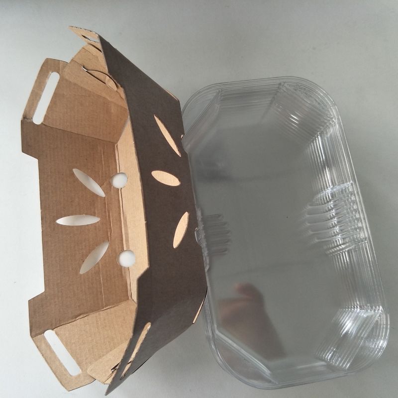 Couvercle recyclable d'ANIMAL FAMILIER de Tray With de fruit de papier de 350gsm emballage