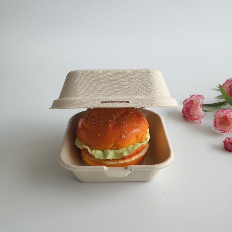 5 pouces boîte jetable à hamburger de canne à sucre biodégradable de 6 pouces