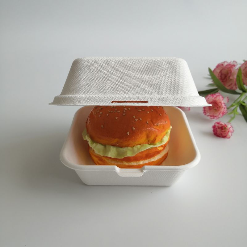 5 pouces boîte jetable à hamburger de canne à sucre biodégradable de 6 pouces