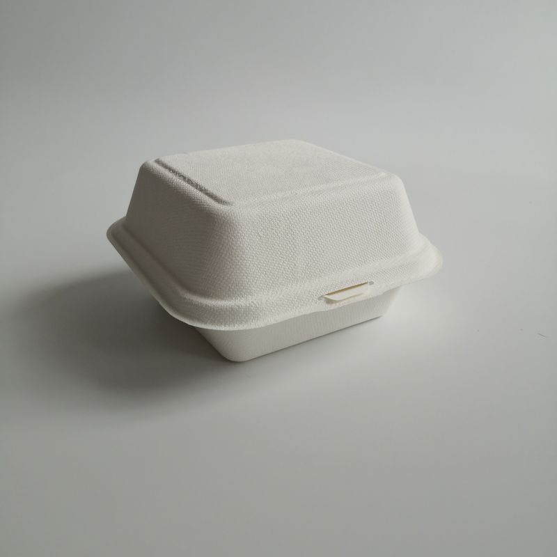 5 pouces boîte jetable à hamburger de canne à sucre biodégradable de 6 pouces