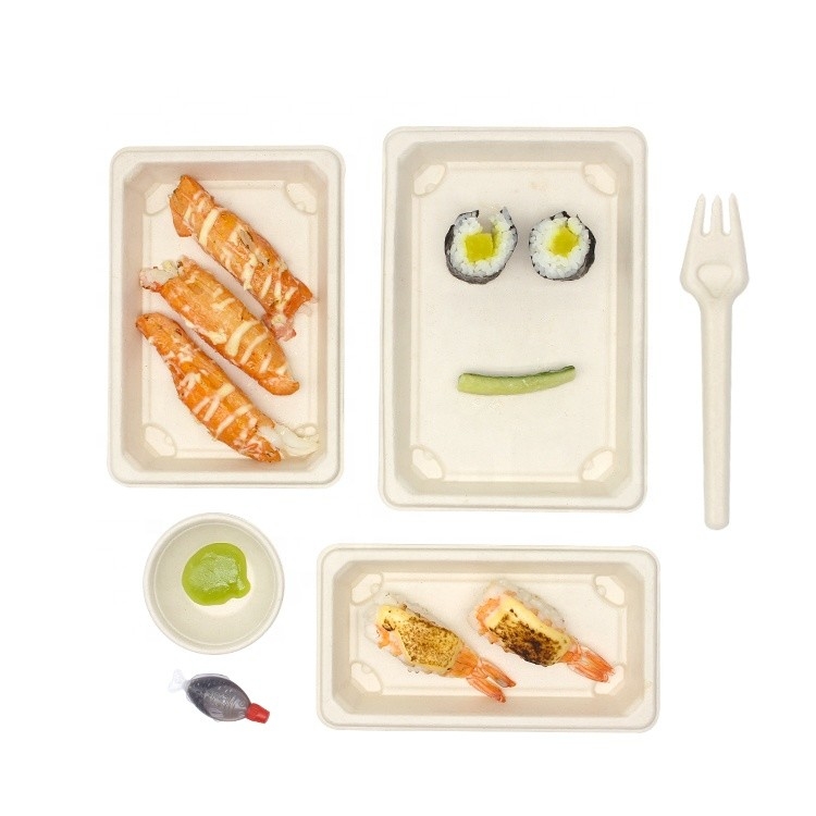 Compostable biodégradable écologique de caisse d'emballage de sushi de gâteau